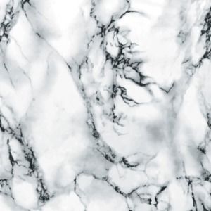 Meet your Posher, Jesse